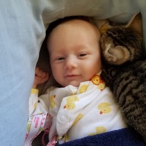 Meet your Posher, Jon